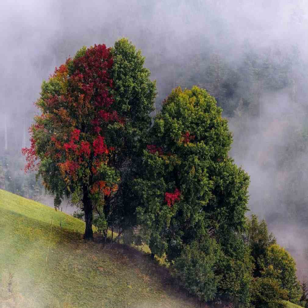 آهنگ جدید  اصن لو لو لو لو لزومی نره - تی ام بکس